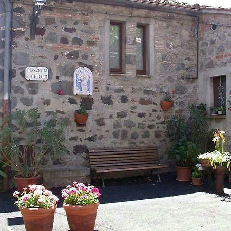 ラディコーファニ Casa Del Ciliegioヴィラ エクステリア 写真