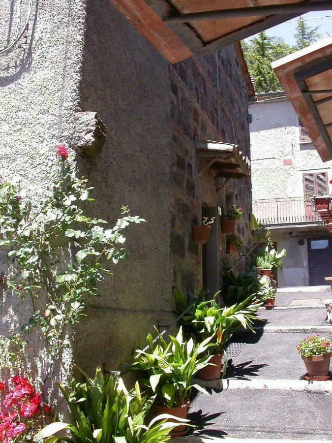ラディコーファニ Casa Del Ciliegioヴィラ エクステリア 写真